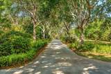 9340 Tropical Trail - Photo 15
