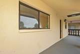 205 Palmetto Avenue - Photo 39