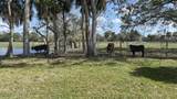 368 Stephenson Drive - Photo 59