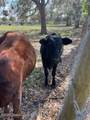 368 Stephenson Drive - Photo 60