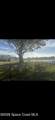 2563 Landing Drive - Photo 13