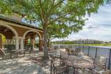 6411 Borasco Drive - Photo 49