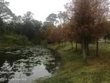 422 Carley Lane - Photo 44