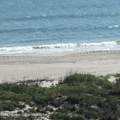 3170 Atlantic Avenue - Photo 44