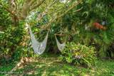 411 Poinsettia Road - Photo 34