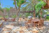 1010 Pine Tree Drive - Photo 39