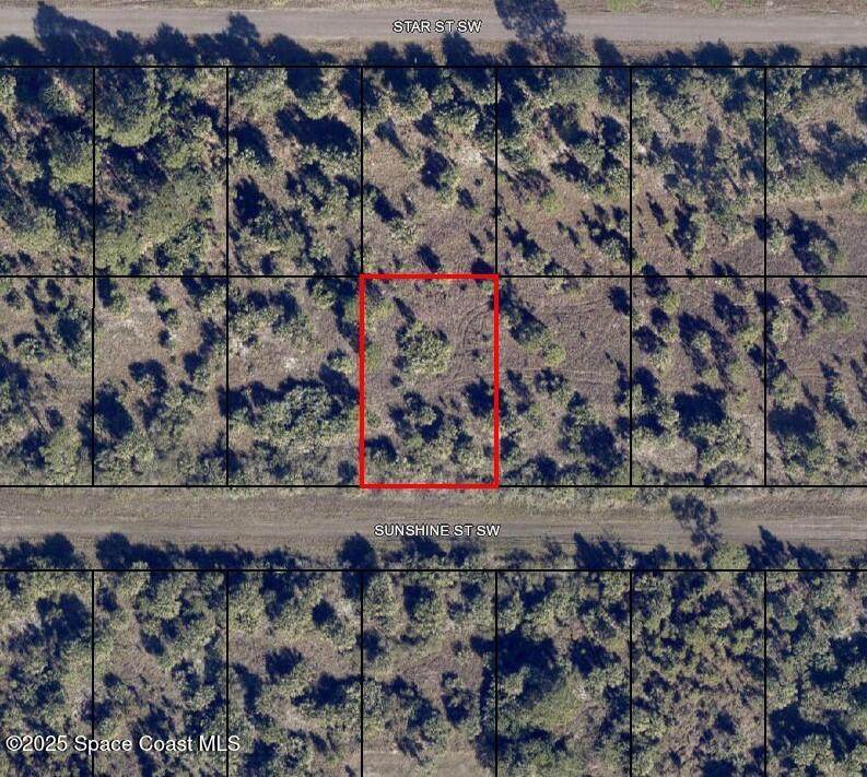 727 Sunshine Street - Photo 1