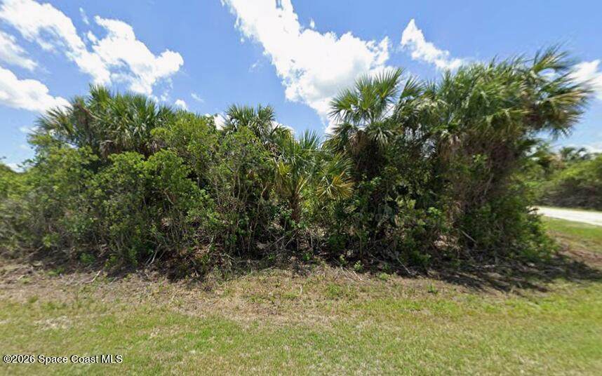 3201 Mockinbird Avenue - Photo 1