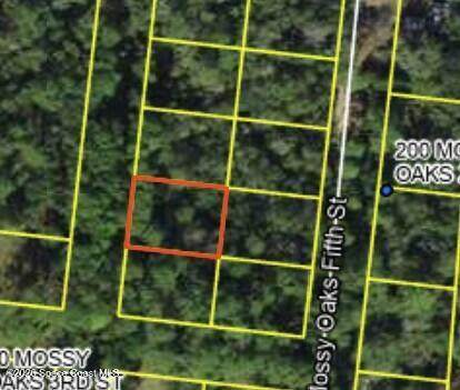 200 Mossy Oaks Fourth Street - Photo 1