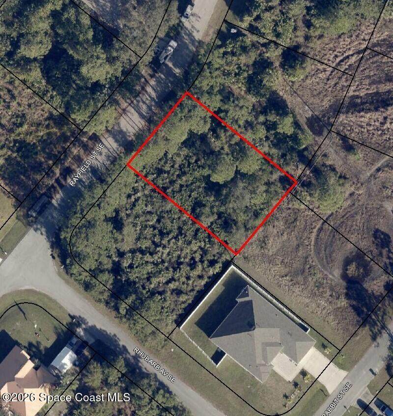 1260 Rayfield Street - Photo 1
