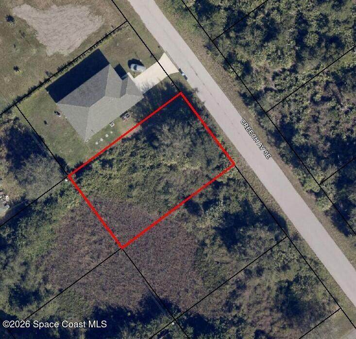 2626 Creech Avenue - Photo 1