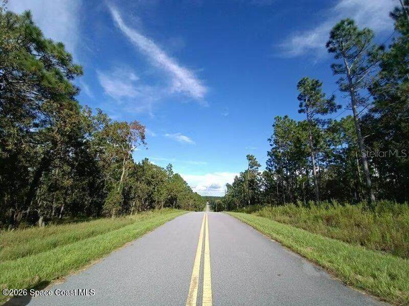 000 Amberjack Avenue - Photo 1