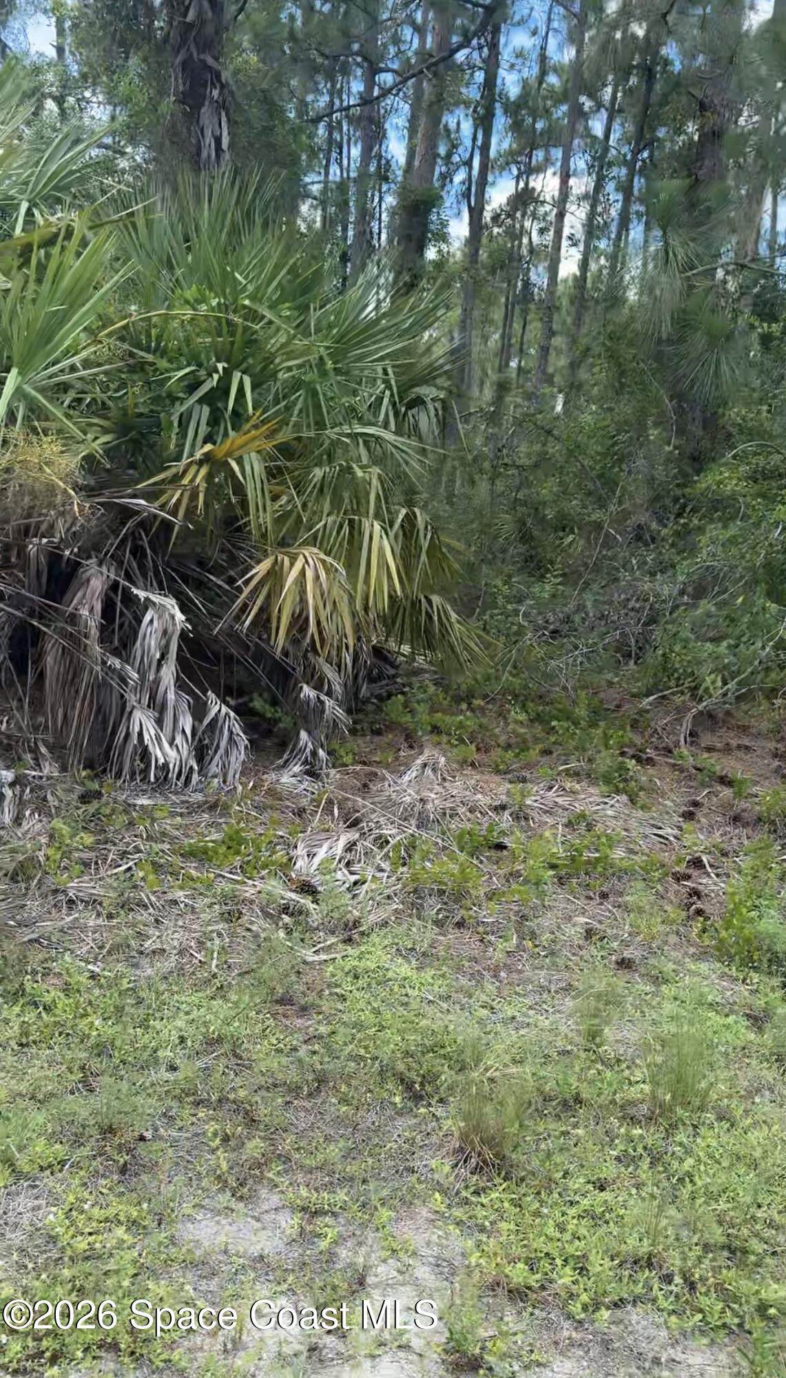 https://bt-photos.global.ssl.fastly.net/spacecoast/orig_boomver_1_1081895-2.jpg