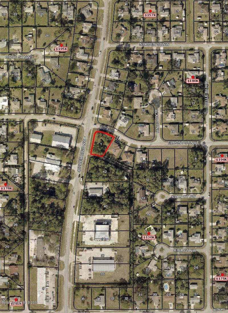 00 Elmont St. (Corner Of Jupiter) Boulevard - Photo 1