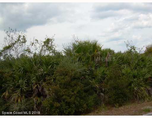 00 Vacant Land-Mims - Photo 1