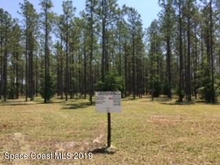 Vacant Donaldson Road - Photo 1