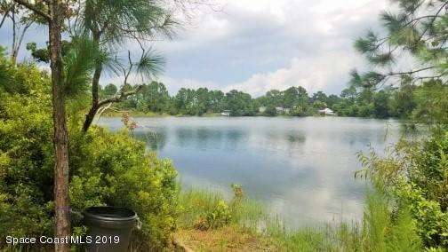 4165 Hog Valley Road - Photo 1
