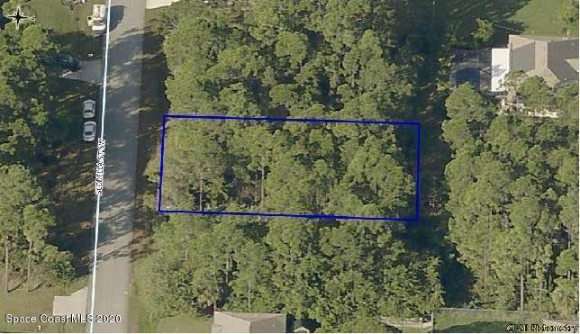 341 Scodella Street - Photo 1