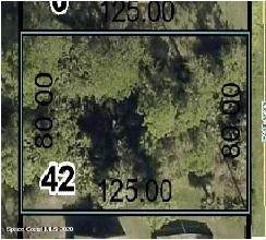 521 Windswept Avenue - Photo 1