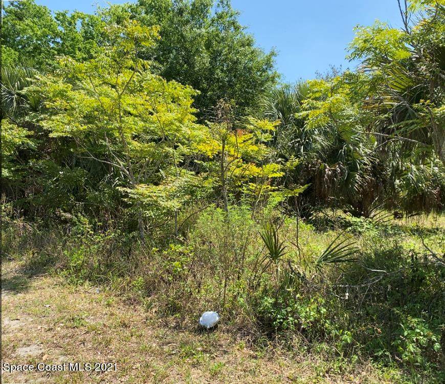 0000 Tropic Street - Photo 1