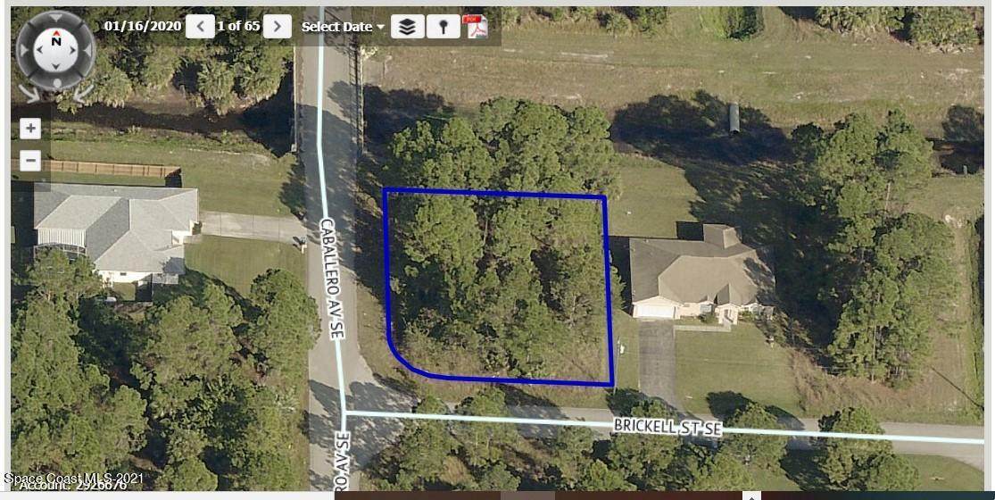 203 Brickell Street - Photo 1