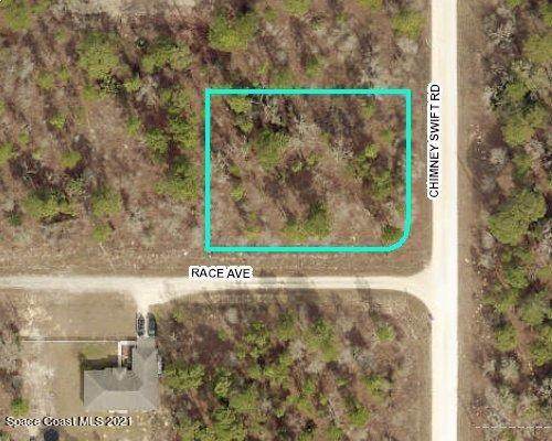 0 Chimney Swift Road - Photo 1