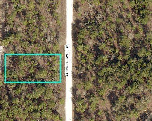 0 Chimney Swift Lot 12 - Photo 1