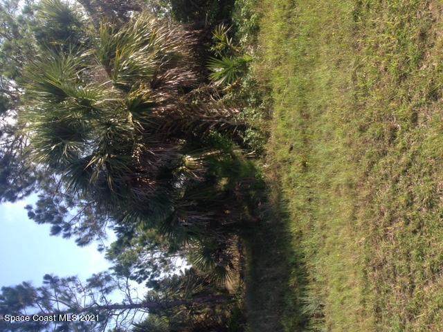 525 Fintonrod Street - Photo 1