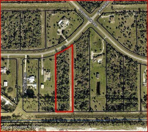 255 Cavalier Street - Photo 1