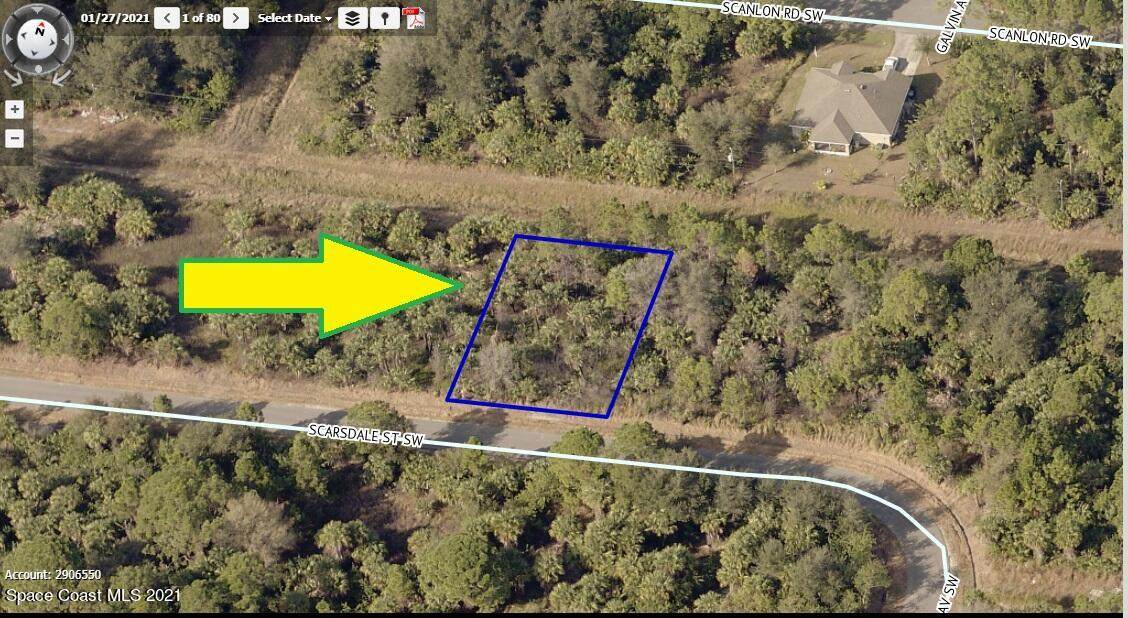 539 Scarsdale Street - Photo 1