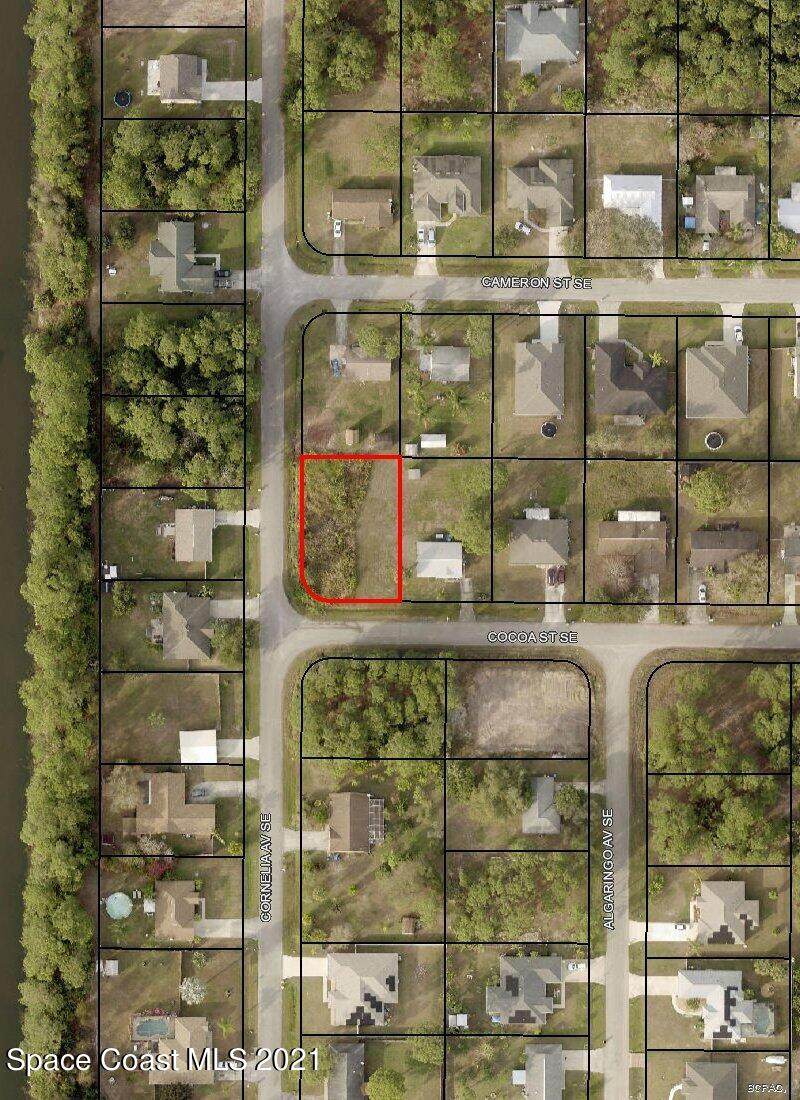107 Cocoa (Corner Cornelia) Street - Photo 1