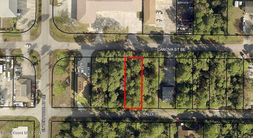 1816 Canova Street - Photo 1