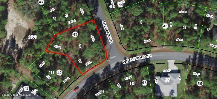 1 Milbark Drive - Photo 1