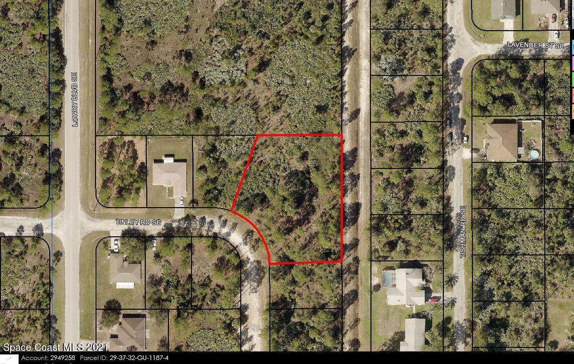 2999 Tinley Road - Photo 1