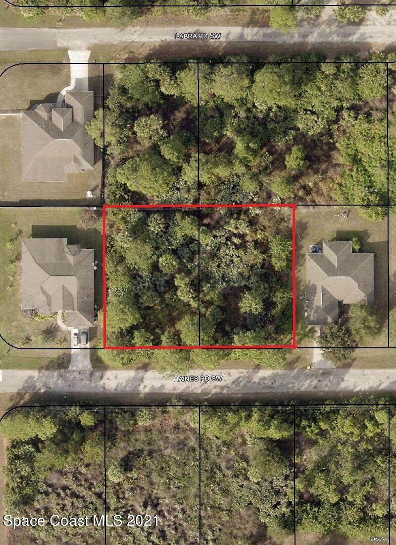 187 & 179 Haines (2 Lots) Road - Photo 1