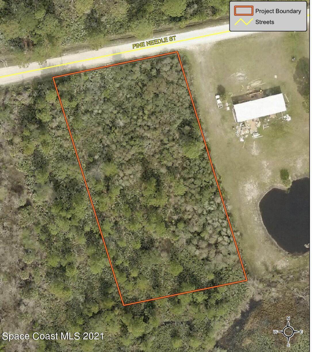 4753 Pine Needle Street - Photo 1