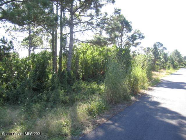 2969 Fig Road - Photo 1