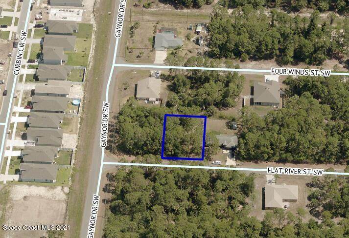 491 Flat River Street - Photo 1