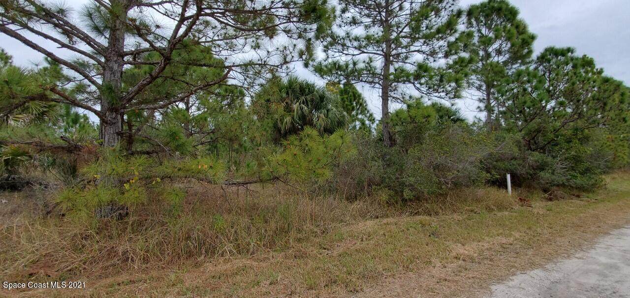 461 Frost Road - Photo 1