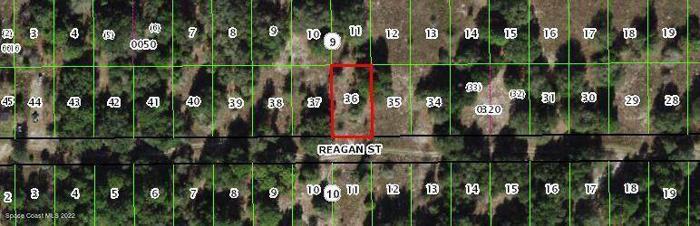2412 Reagan Street - Photo 1