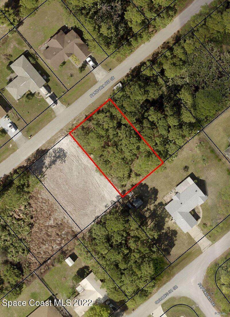930 Pandora Road - Photo 1