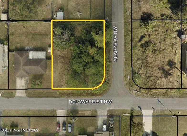 1803 Delaware Street - Photo 1