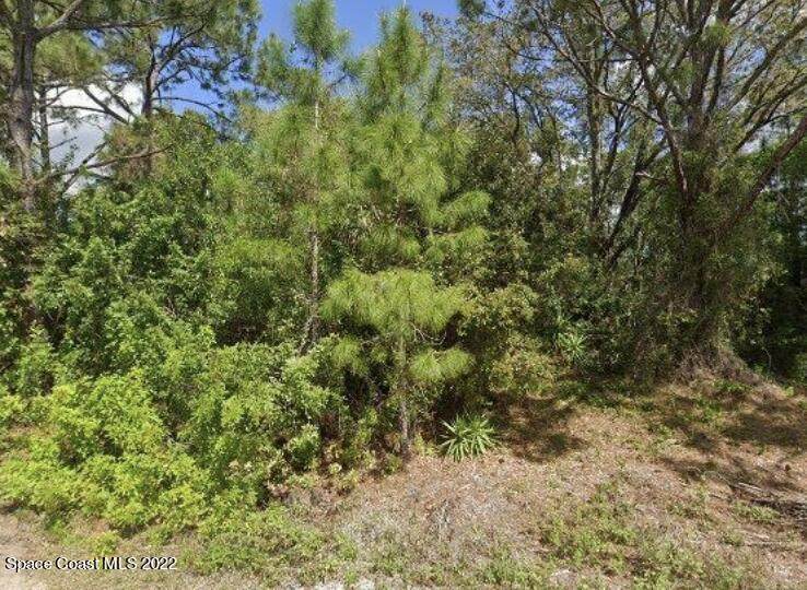 1239 Windingdale Street - Photo 1