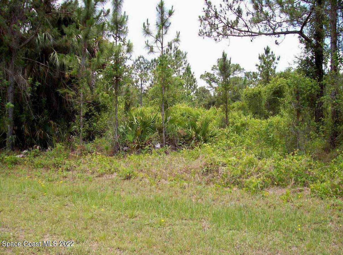 2400 San Filippo Drive - Photo 1