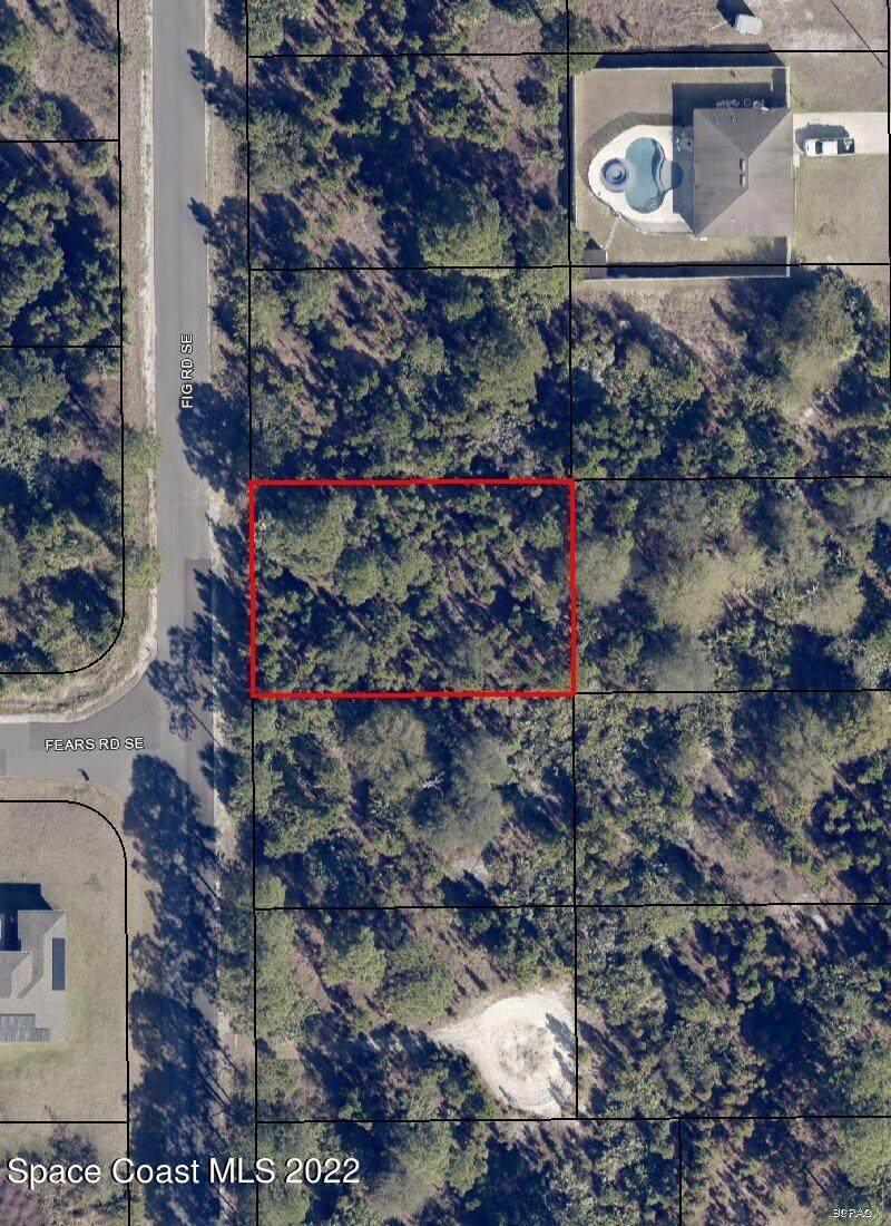 3005 Fig Road - Photo 1