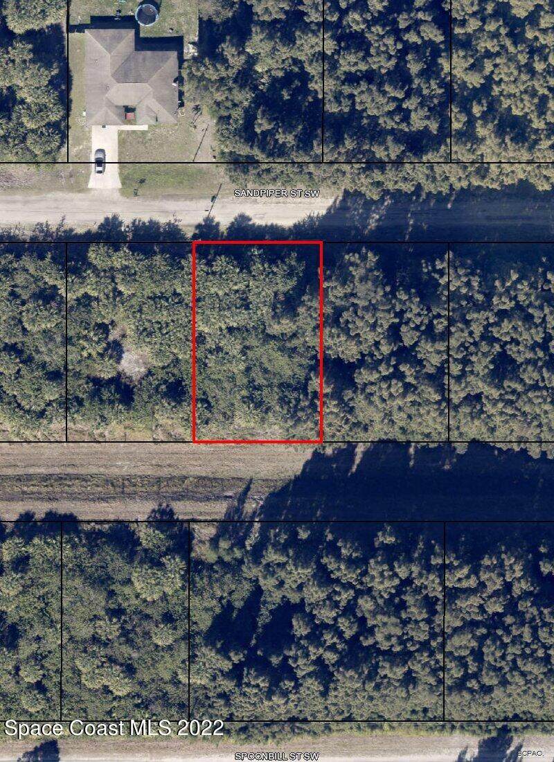 776 Sandpiper Street - Photo 1