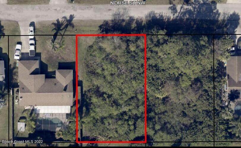 740 Norse Street - Photo 1