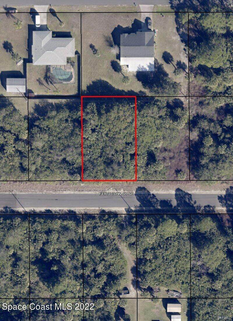 131 Ferguson Street - Photo 1