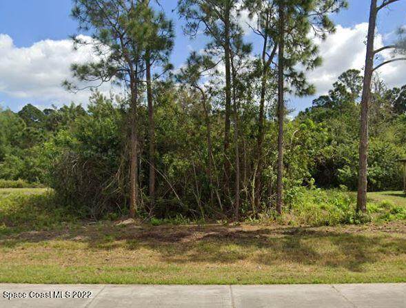 335 San Filippo Drive - Photo 1