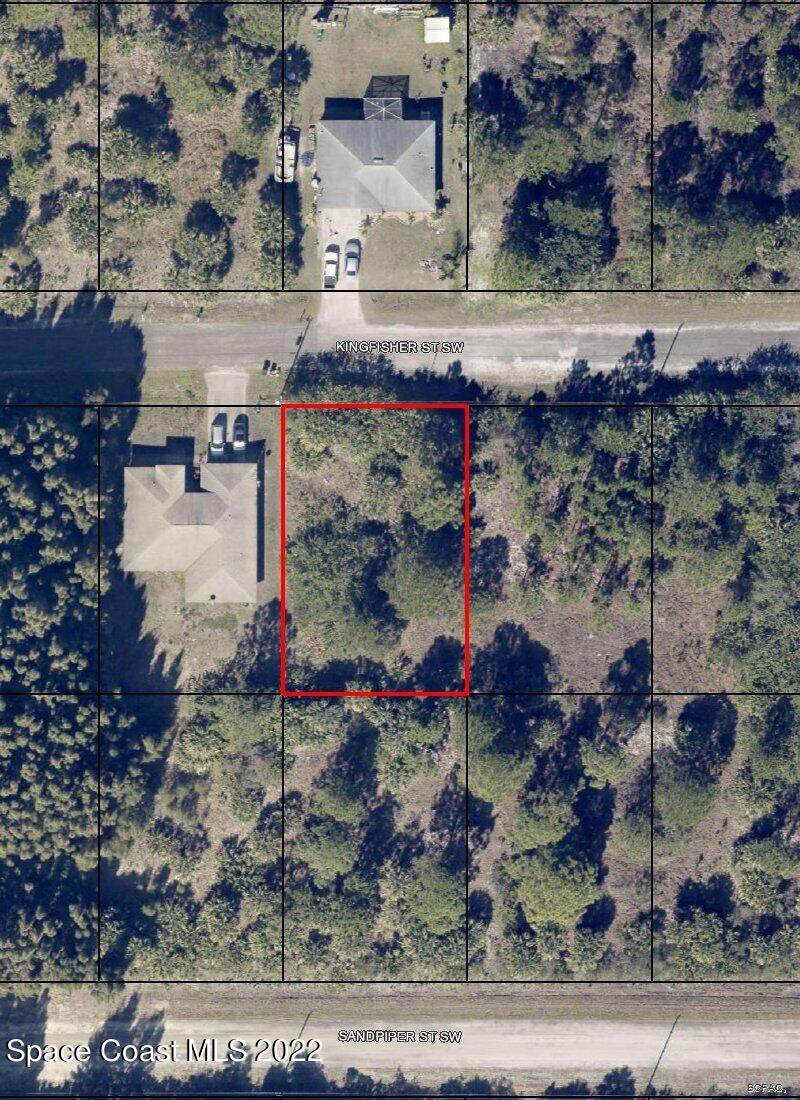 734 Kingfisher Street - Photo 1
